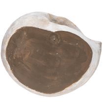 Artikel Dekogefäß Schneckenform Grau mit Goldschimmer aus Polyresin 21cm