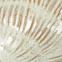 Artikel Keramikschale in Seeschneckenform 23cm Grün Braun für stilvolle Dekoration