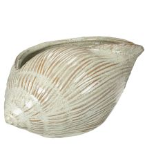 Artikel Keramikschale in Seeschneckenform 23cm Grün Braun für stilvolle Dekoration
