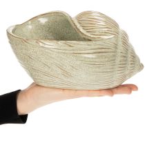 Artikel Keramikschale in Seeschneckenform 23cm Grün Braun für stilvolle Dekoration