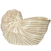 Artikel Keramik-Blumentopf Schneckenform 21cm – Stilvolle Pflanzendekoration für Innen und Außen