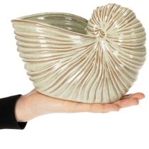 Artikel Keramik-Blumentopf Schneckenform 21cm – Stilvolle Pflanzendekoration für Innen und Außen