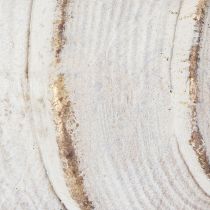 Artikel Dekorative Muschel aus Polystone 44 cm in Weiß-Gold für maritime Dekoration