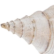 Artikel Dekorative Muschel aus Polystone 44 cm in Weiß-Gold für maritime Dekoration