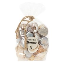 Artikel Natürliche Schnecken- und Muschelkollektion 500g 3-6 cm Dekorationsmaterial