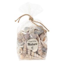Artikel Natürliche Muscheln und Schnecken 500g für Dekoration, verschiedene Größen 3–7 cm, Innenbereich