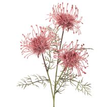 Artikel Kunstblume Protea Nadelkissen Zweig 65cm Rosa-Grün 3er Set