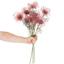 Artikel Kunstblume Protea Nadelkissen Zweig 65cm Rosa-Grün 3er Set