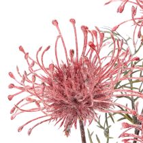 Artikel Kunstblume Protea Nadelkissen Zweig 65cm Rosa-Grün 3er Set