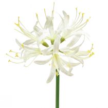 Artikel Nerine Guernseylilie Kunstblume Weiß Gelb Ø15cm L65cm