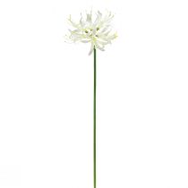 Artikel Nerine Guernseylilie Kunstblume Weiß Gelb Ø15cm L65cm