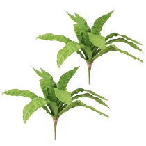 Artikel Nestfarn Künstliche Pflanzen Asplenium in Grün Dekoration 5,5×22cm 2St