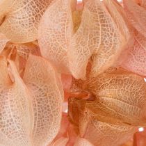 Artikel Romantische Trockenblume in Rosa 75cm – Haltbare Deko für stilvolle Wohnräume