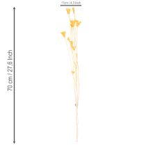 Artikel Nigella Trockenblumen-Arrangement 70cm 50g Innen- und Außendekoration