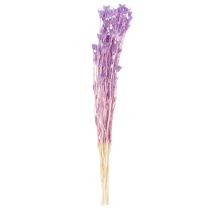 Artikel Trockenblumenstrauß Nigella Lila 70cm Wohnzimmerdekoration