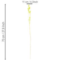 Artikel Trockenblumen Nigella Naturmaterial Deko-Stängel 70cm Innenbereich