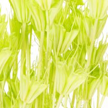 Artikel Trockenblumen Nigella Naturmaterial Deko-Stängel 70cm Innenbereich