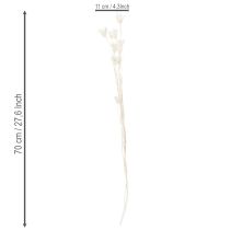 Artikel Getrocknete Nigella-Blumen Bündel 70cm für Innenraumdekoration