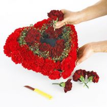 Artikel OASIS® Biolit® Herz groß 34cm 2St