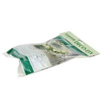 Artikel OASIS® Deco-Fix 10St