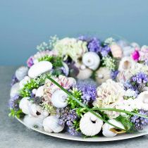 OASIS® Steckschaum Kranz Ring Grün H3cm Ø25cm 6St