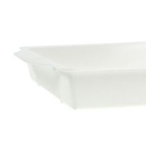 OASIS® Steckschale weiß 23cm x 11,5cm x 2,5cm 5St
