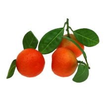 Orange mini mit Blatt 5cm 8St