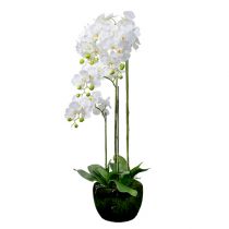 Orchidee Weiß mit Erdball 110cm