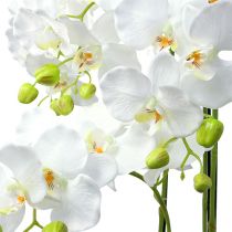 Orchidee Weiß mit Erdball 110cm