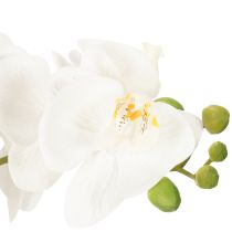 Artikel Künstliche Orchidee im Topf weiß 60cm – Langlebige Dekoration mit stilvoller Eleganz