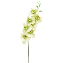 Artikel Orchidee Künstlich Gelb Grün Phalaenopsis L83cm