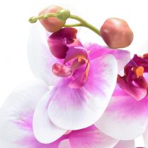 Artikel Orchidee Künstliche Phalaenopsis 4 Blüten Weiß Pink 72cm