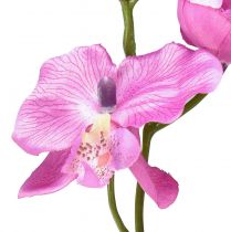 Artikel Orchidee Phalaenopsis künstlich 6 Blüten Lila 70cm