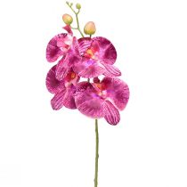 Orchidee geflammt Künstliche Phalaenopsis Violett 72cm