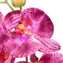 Artikel Orchidee geflammt Künstliche Phalaenopsis Violett 72cm