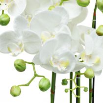 Künstliche Orchideen im Topf Weiß Kunstpflanze 63cm