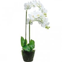 Artikel Künstliche Orchideen für den Topf Weiß 80cm