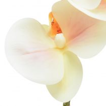 Artikel Künstliche Orchidee Creme Orange Phalaenopsis 78cm