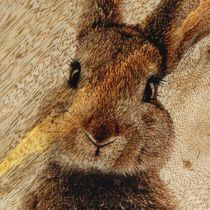 Artikel Osterteller Holz Dekoteller Hase Ei 25x26cm Naturdeko