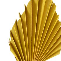Palmspear Gelb 65St