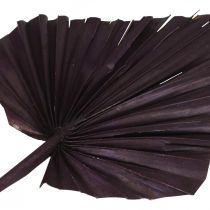 Artikel Palmspear Mix Rosa Berry, Weiß gewaschen Gedenkfloristik 65 St