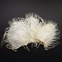 Artikel Palmwedel getrocknet gebleicht 45cm cremeweiß 5 Stück vielseitige Deko