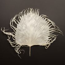 Artikel Palmwedel getrocknet gebleicht 45cm cremeweiß 5 Stück vielseitige Deko