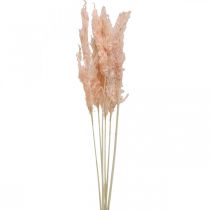 Getrocknetes Pampasgras Rosa Trockenblumen Naturdeko 65-75cm 6St