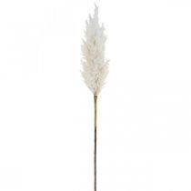 Artikel Pampasgras Weiß Künstliche Trockengräser Kunstpflanzen