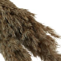Artikel Pampasgras getrocknet Deko Trockengräser Natur 95cm 3 St