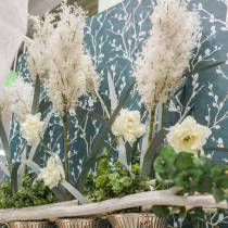Artikel Pampasgras Weiß Künstliche Trockengräser Kunstpflanzen