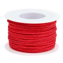Papierkordel Draht umwickelt Ø2mm 100m Rot