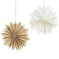 Artikel Papiersterne Weiß Braun Christbaum Deko Aufhänger 16cm 6 Stk