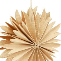 Artikel Papiersterne Weiß Braun Christbaum Deko Aufhänger 16cm 6 Stk